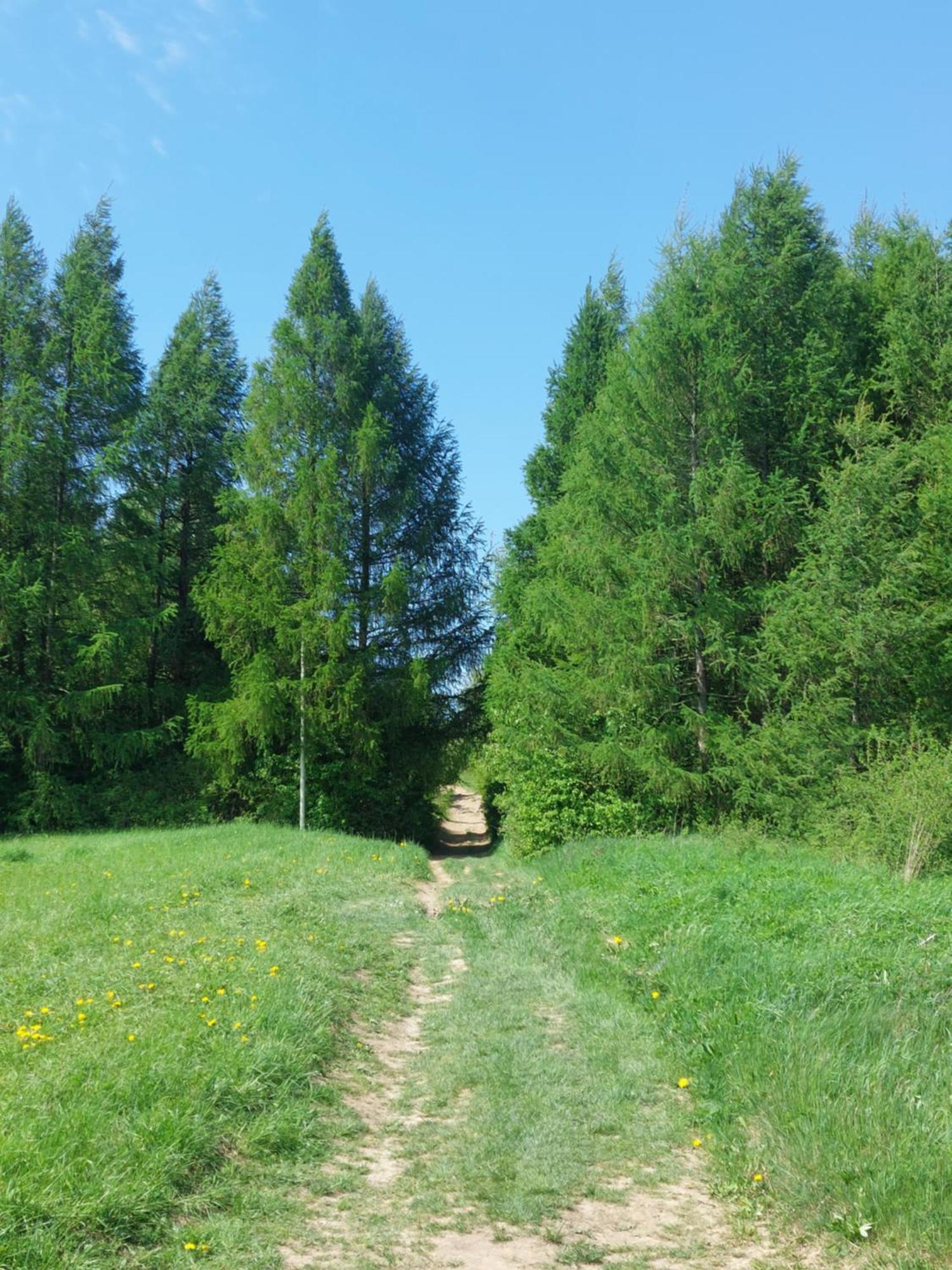 Brzozowy Zakatek Διαμέρισμα Posada Gorna Εξωτερικό φωτογραφία